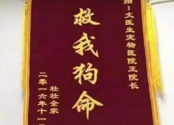 旺财28:开启你人生新篇章的钥匙 旺财28:开启你人生新篇章的钥匙