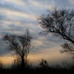 旺财28:让你的财富翻倍的有效策略 55h809d