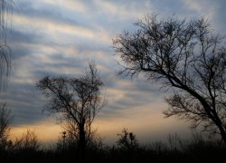 旺财28:让你的财富翻倍的有效策略 旺财28:让你的财富翻倍的有效策略