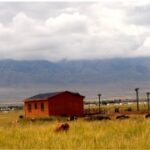 旺财28如何帮助你打破财富瓶颈 uz7ca785sj