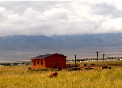 旺财28如何帮助你打破财富瓶颈 旺财28如何帮助你打破财富瓶颈