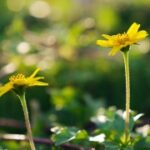 亿万28:新兴市场的投资机会与风险 y91lsqjii