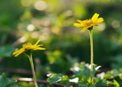 亿万28:新兴市场的投资机会与风险 亿万28:新兴市场的投资机会与风险