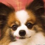 亿万28:从零开始的财富积累之路 zi3fc