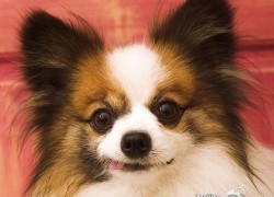 亿万28:从零开始的财富积累之路 亿万28:从零开始的财富积累之路