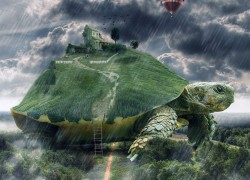 亿万28app的投资组合:如何选择合适的项目 亿万28app的投资组合:如何选择合适的项目