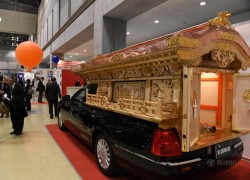 旺财28的历史渊源与现代解读 旺财28的历史渊源与现代解读